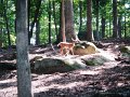 August2008 040